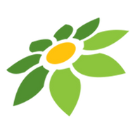 DP NGEWE